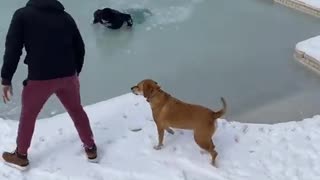 Moonwalk on Frozen Pool Fail