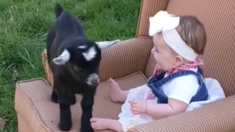 "A Little Adventure: The Girl and Her New Friend, the New Goat"