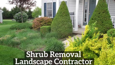 Shrub Removal Rohrersville Maryland Landscape Contractor