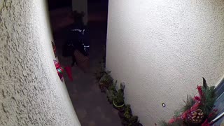 FedEx Guy vs Christmas Decoration