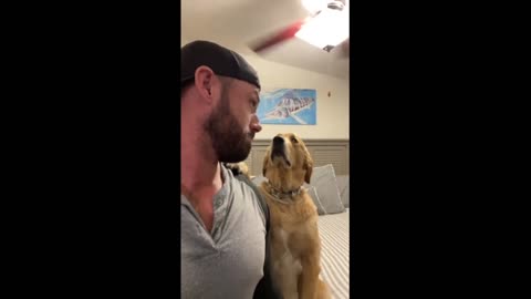 Man records dog's reaction after kissing him on the head #Shorts