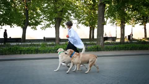 Young stylish hipster girl running and playing with two retriever dogs in city center park