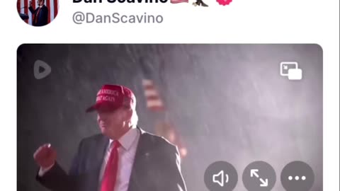 Dan Scavino