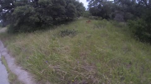 Boxer Gets a Close Whiff of Unpleasant Scent