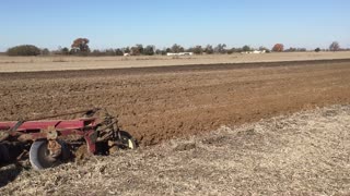 plow day 2020