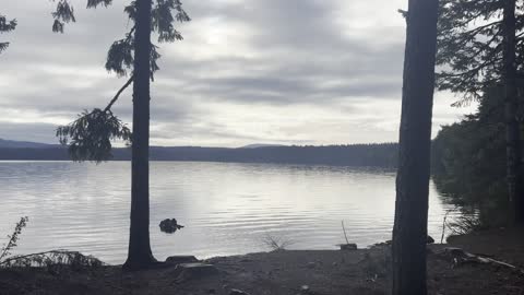 Beauty @ The Cove – Timothy Lake – Mount Hood – Oregon – 4K