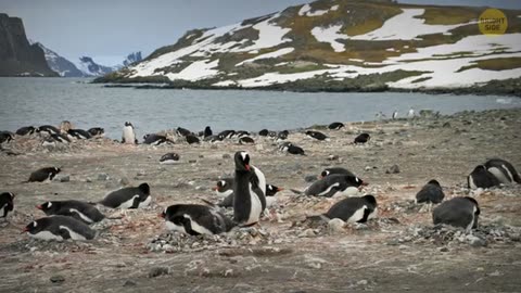 The Most Surreal Natural Phenomena - Explained