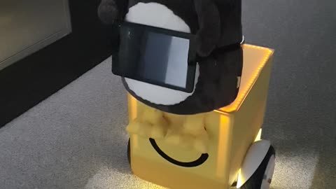 Penguin robot that moves automatically