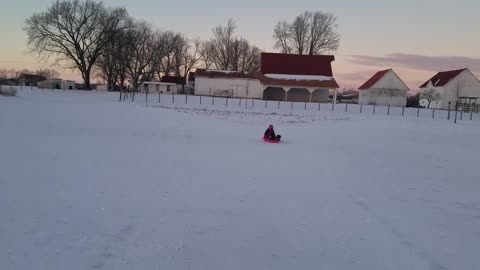 Brother and Sister Sled Duo