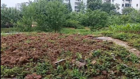 rural land in light rain