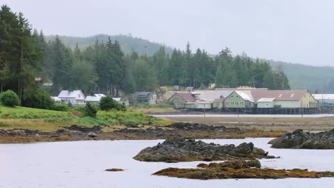 The Salmon Forest - Alaska Nature Documentary