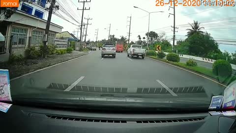 Small Snake Slithers Across Driver's Dash