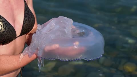 woman holding a large jellyfish