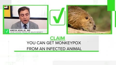 VERIFY: Monkeypox does not have pandemic potential and is not the next COVID-19