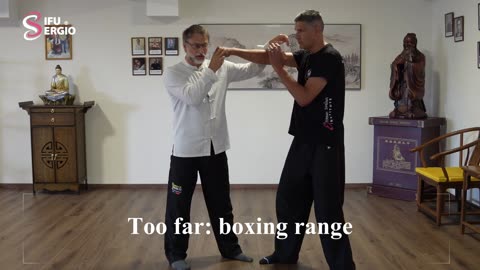 Wing Chun - Preferred Distance and Ideal Range - Sifu Sergio