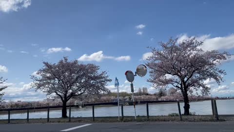 Japanese lake in Kawagoe