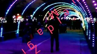 Brookfield Zoo 🎅 Christmas 🎄 Light display