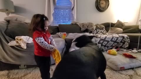 Toddler Puppy Battle Rages on