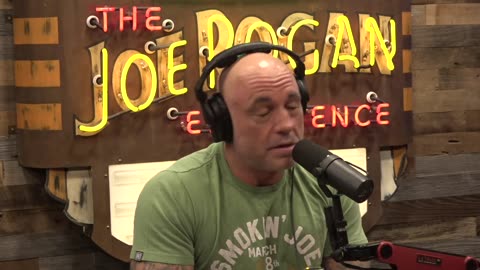 Joe Rogan Experience - Matt Walsh