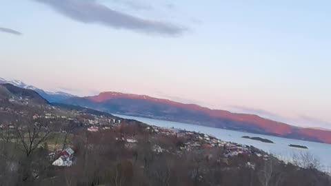 Shiba dogs with nice view Norway