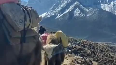 On the way to Everest, Mesmerizing view of Ama Dablam