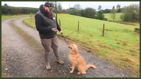 How To Stop Your Dog PULLING On The Leash