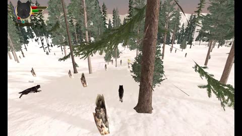 WolfQuest persistant packs update 10