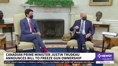 Canada To Cap Handgun Sales, Ban Possession Of Assault-Style Weapons