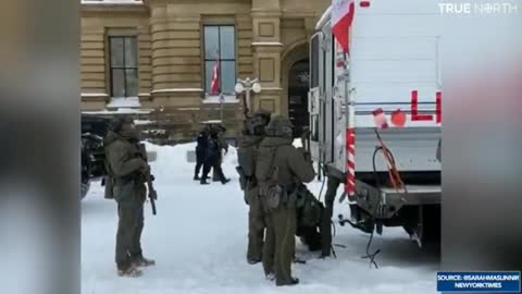 Protester arrested at gunpoint in Ottawa