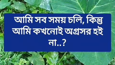 ধাঁধা :- আমি সব সময় চলি, কিন্তু আমি কখনোই অগ্রসর হই না..?