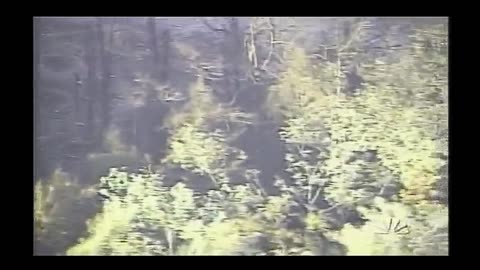 911 Flight 93 - Aerial View Of Crater From Above Burned Treeline