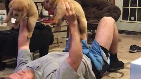 Puppy Bench Press