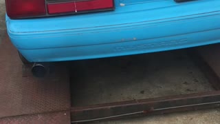 1986 Mustang GT Cam (unkown) Idle