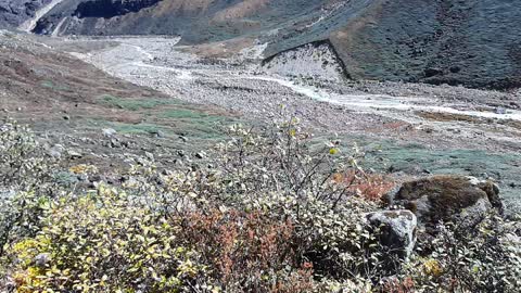 Beautiful nature in Sikkim india