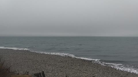 Bay of Fundy, Morden, Nova Scotia 2