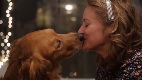 Funny dogs and kissing girls video