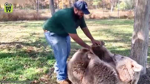 Animals Reunited With Owners After Years!