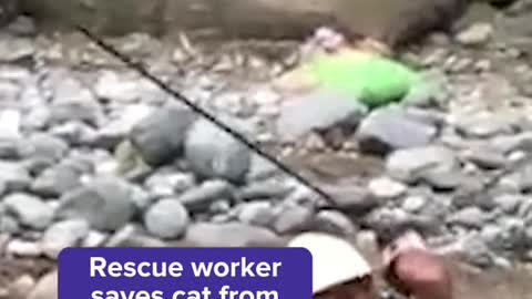 Rescue worker saves cat from floods in Pakistan