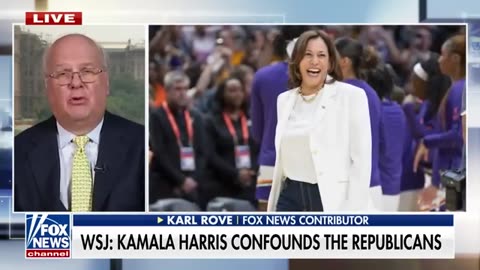 Kamala Harris has ‘a lot of vulnerabilities’_ Karl Rove