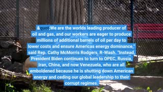 Polls show rising gas prices are top concern for midterm voters