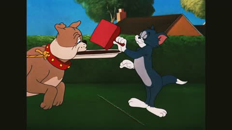 Tom irritate doggy, funny Tom and Jerry cartoon videos