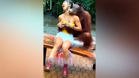 Funniest Animals video 2023,part -4