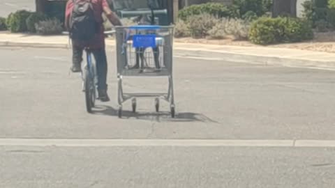 Homeless Man Pulls Dog in Shopping Cart to Protect Paws From Heat