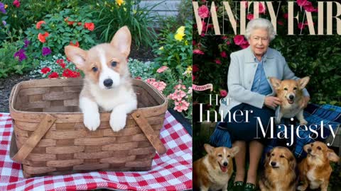 THE DOGS THE BRITISH QUEEN KEEPS ARE PART OF MYTHOLOGY