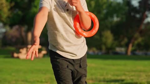 A Child Playing with Toys at the Park,