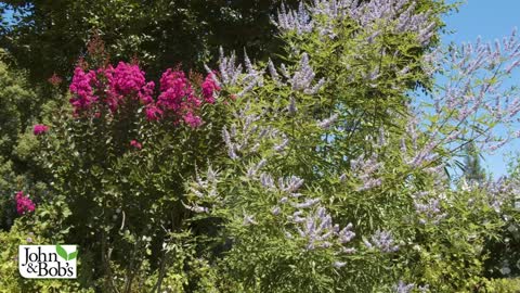 How Soil Health Helps Gardens Thrive During Hot Weather