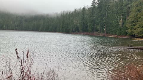 Oregon – Mount Hood National Forest – Northern Shore View of Lower Twin Lake – 4K