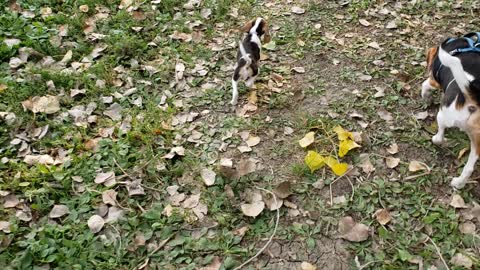 Mia in the park