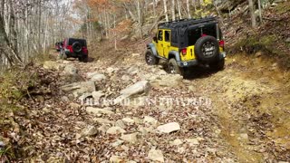 Offroad Tracks Website Header Video