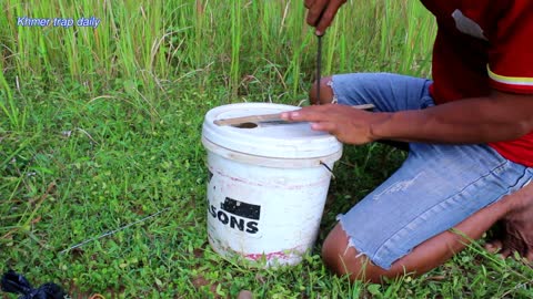 Simple Wild Cat Trap - Trap Using Plastic container